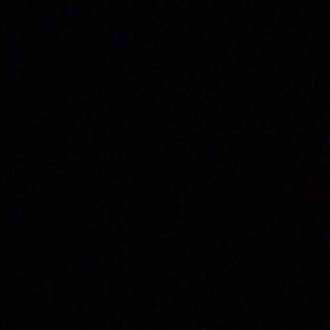 Meet your Posher, Angelina